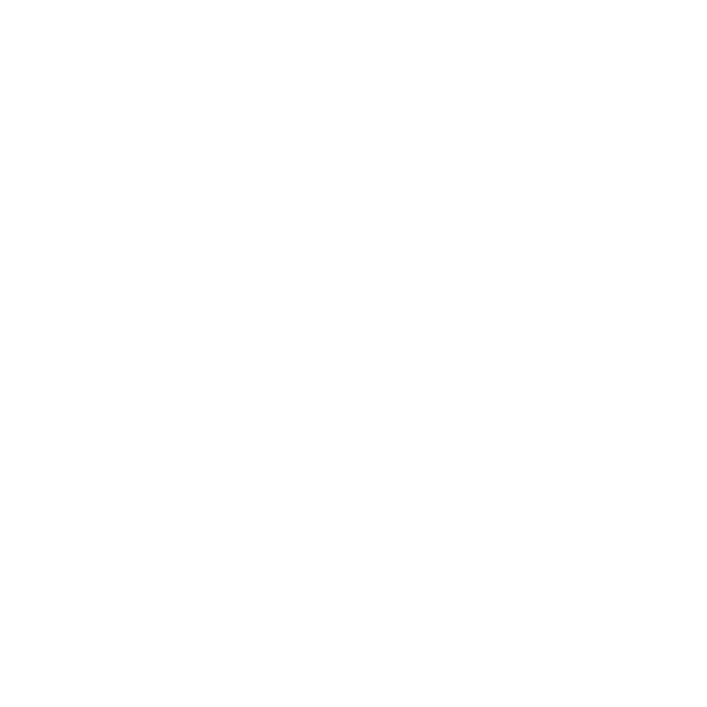 INTERNET HAUT DÉBIT (FIBRE OPTIQUE)